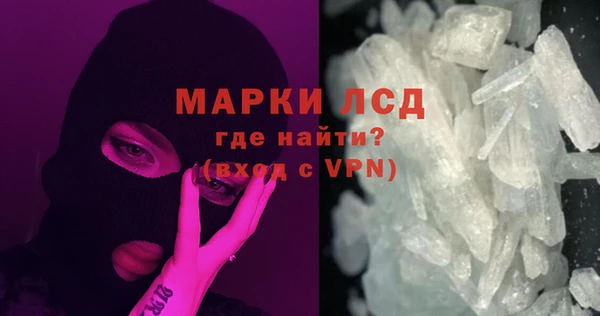хмурый Арсеньев
