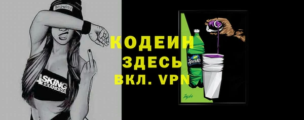 хмурый Арсеньев