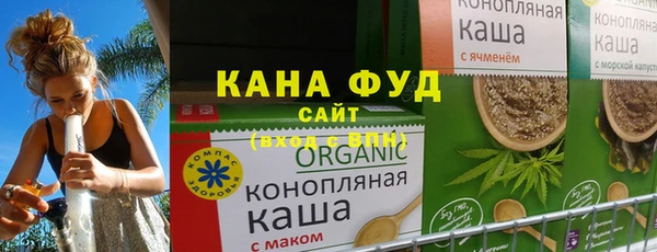 хмурый Арсеньев