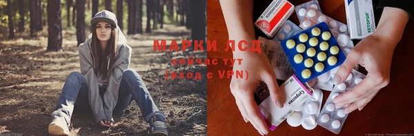 твердый Аркадак